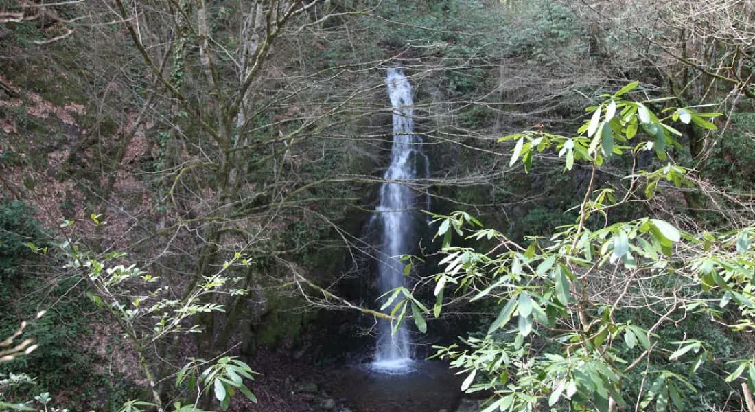WATER SUPPLY NETWORK DESIGN PROJECT OF ULUDERE